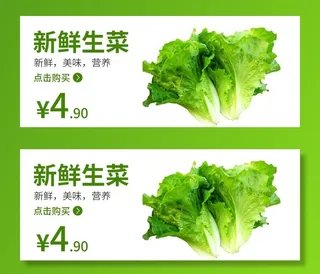 生菜 食品海报 蔬菜 蔬菜海报图片