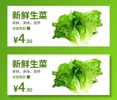 生菜 食品海报 蔬菜 蔬菜海报图片 生菜 食品海报 蔬菜 蔬菜海报图片