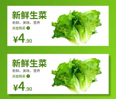 生菜 食品海报 蔬菜 蔬菜海报图片 生菜 食品海报 蔬菜 蔬菜海报图片