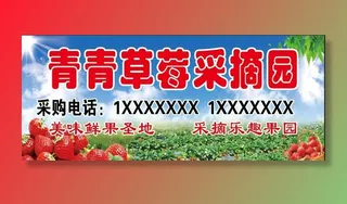 青青草莓采摘园图片