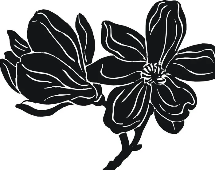 玉兰花 矢量图 黑白稿图片cdr矢量模版下载