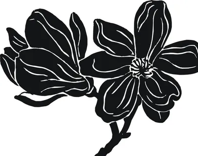 玉兰花 矢量图 黑白稿图片