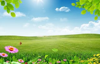 蓝天绿叶草地花朵背景图图片