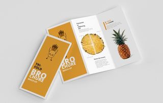 三折页样机图片