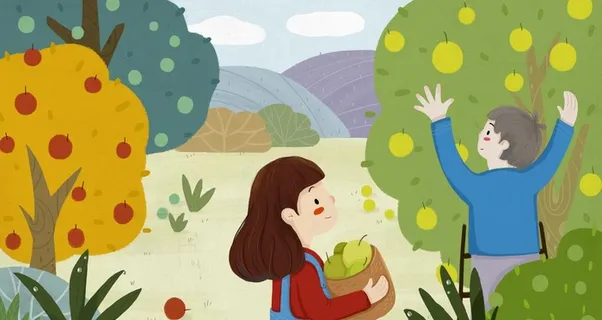 秋天丰收的水果图片