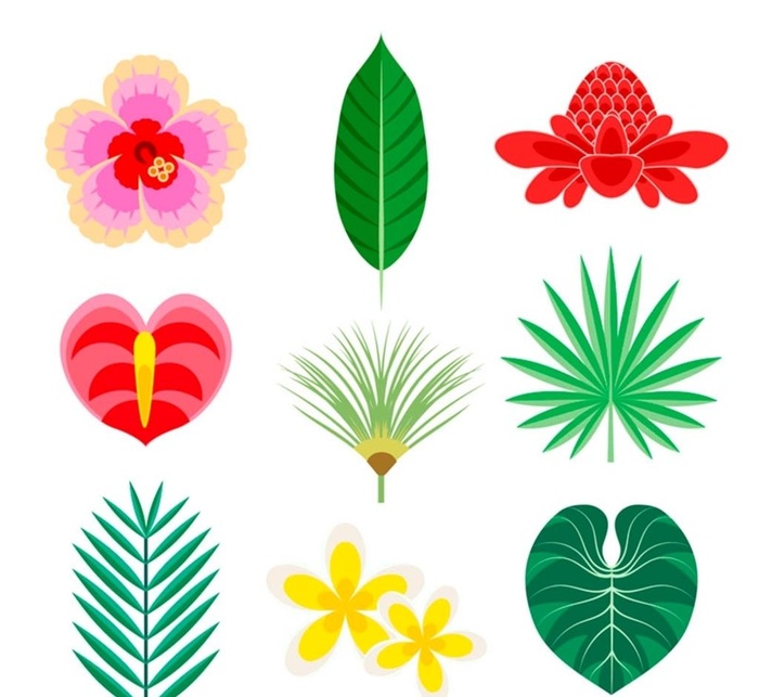 热带花卉和叶子图片ai矢量模版下载