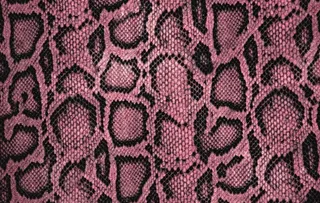 纹理 蛇皮纹 图片