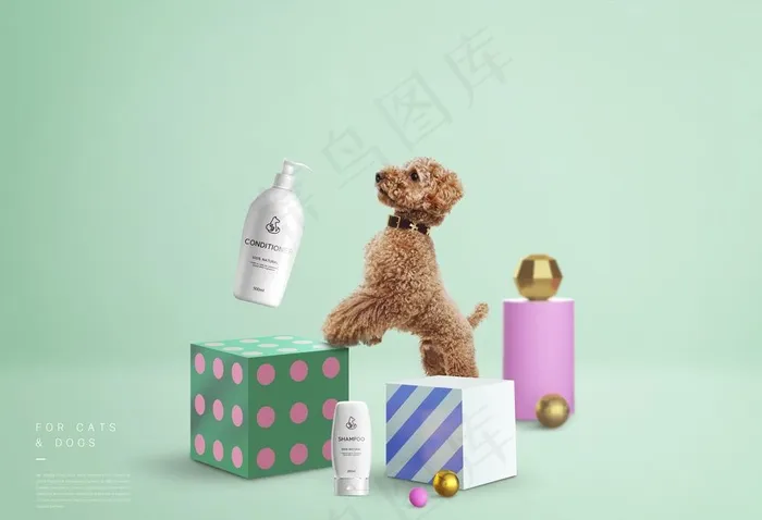 宠物用品海报设计图片(4961x3543)psd模版下载