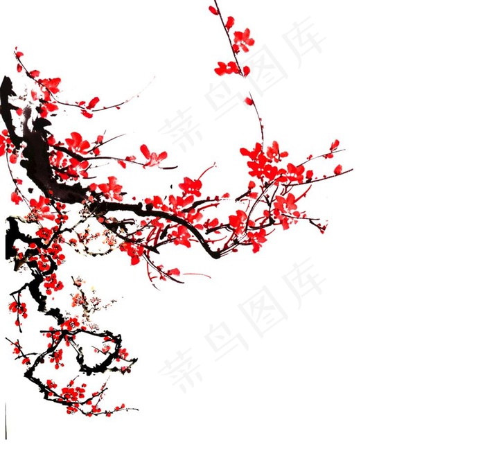 梅花素材 图片(6521x6054)psd模版下载