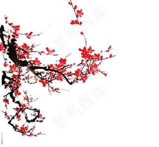 梅花素材 图片