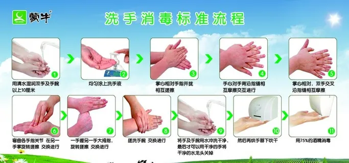 洗手消毒流程图片