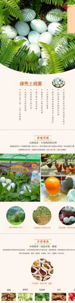 鸡蛋广告图片(740x2629)psd模版下载