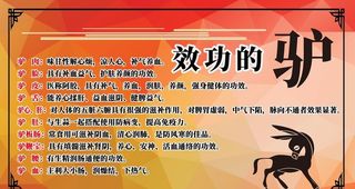 驴的功效和作用简介展板图片