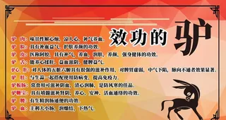 驴的功效和作用简介展板图片