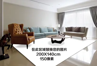 地毯样机 图片