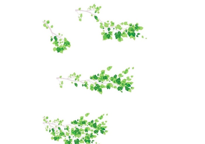 树枝树叶落叶图片