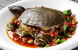 红烧土甲鱼图片