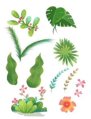 春天植物树叶小元素合集图片
