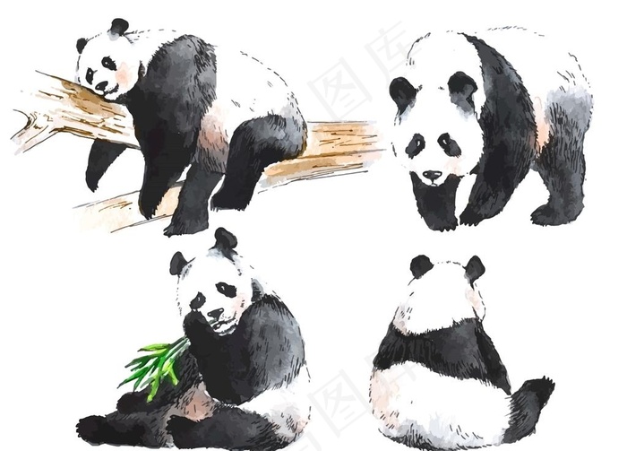 熊猫图片ai矢量模版下载