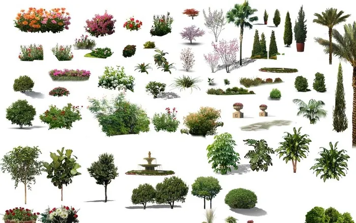 景观 绿化 植物 园林 花树图片(4000x2640)psd模版下载
