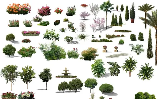景观 绿化 植物 园林 花树图片 景观 绿化 植物 园林 花树图片