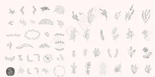 树叶花瓣 树叶标志图片