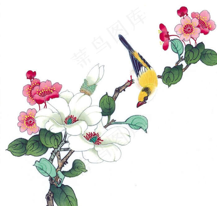 中式花鸟工笔画图片