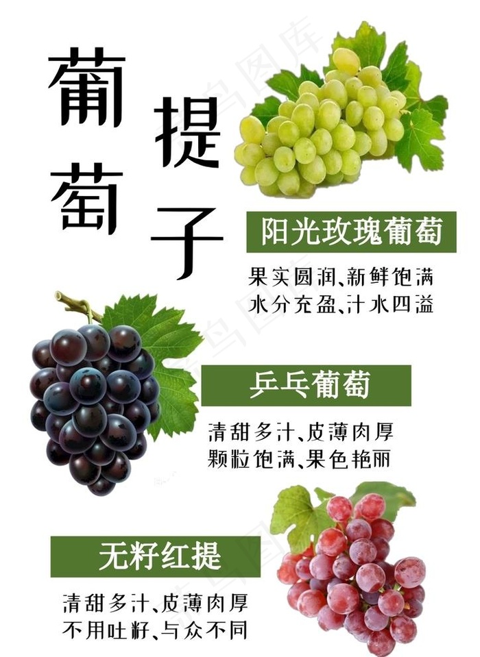 葡萄 提子图片cdr矢量模版下载