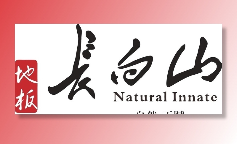长白山图片cdr矢量模版下载
