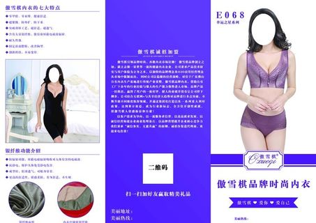 傲雪棋  折页图片