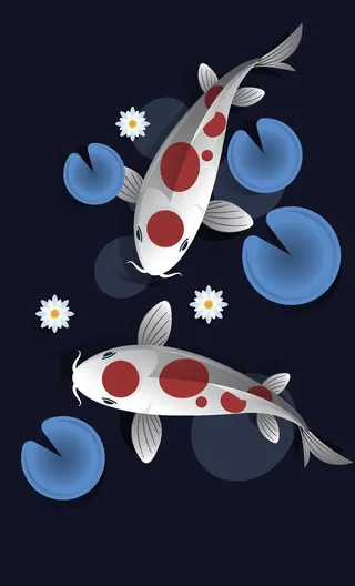 锦鲤鱼背景图片