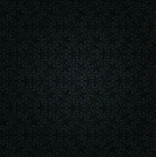 黑色欧式花纹背景矢量素材图片