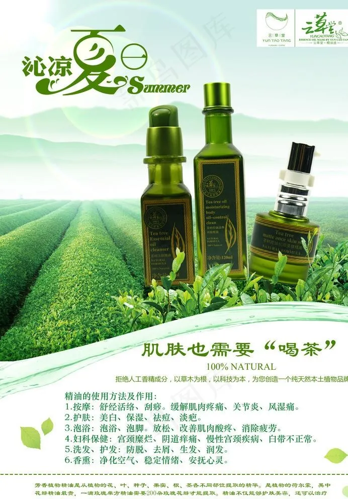 茶树精油护肤品宣传海报图片psd模版下载