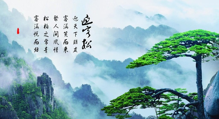 迎客松图片
