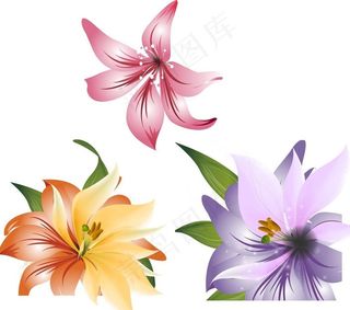 梦幻百合花图片