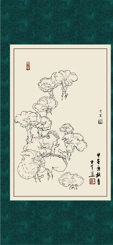 灵芝图片