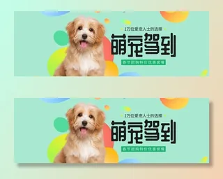 宠物banner图片