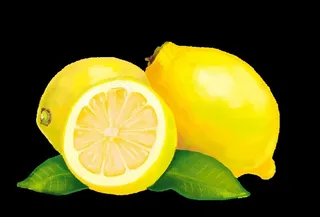 手绘可爱卡通写实水果图柠檬图片