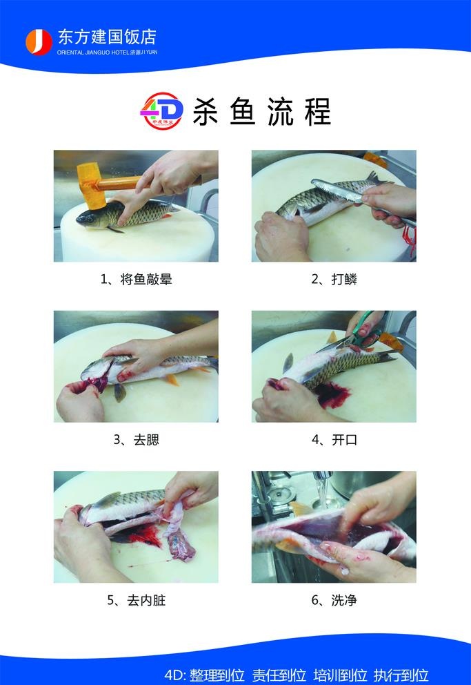 杀鱼流程图片(1575x2362)psd模版下载