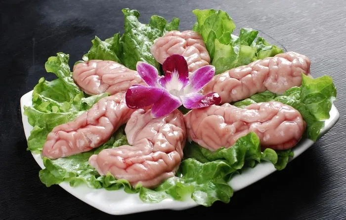 脑花图片