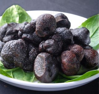 野生菌黑松露图片