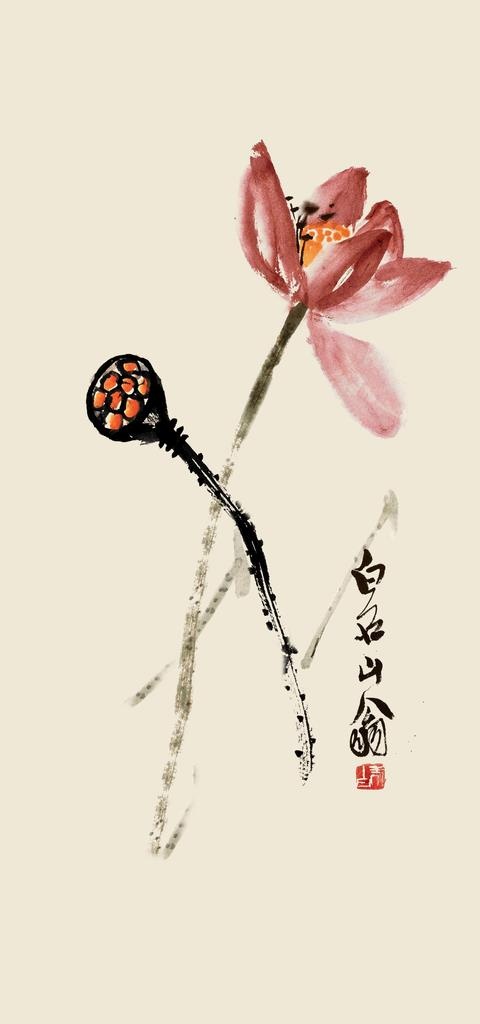 莲藕荷花图片