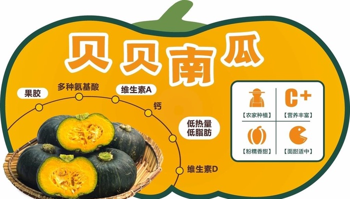 贝贝南瓜异形文宣图片cdr矢量模版下载