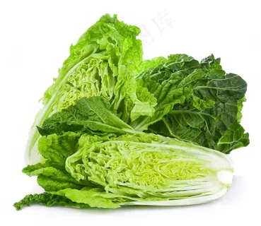 大白菜图片