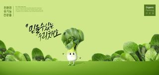 绿色青菜展板图片