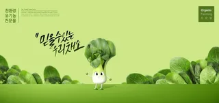 绿色青菜展板图片