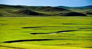 呼伦贝尔大草原图片