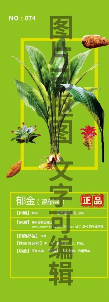 郁金温郁金图片ai矢量模版下载