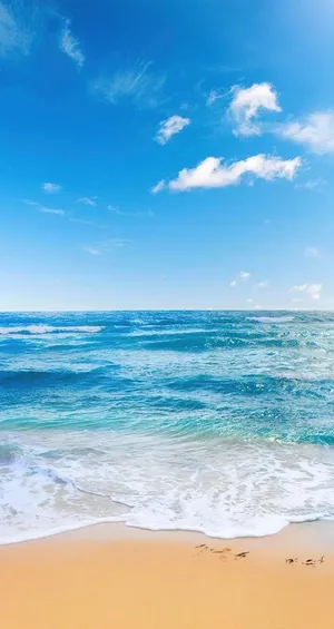 沙滩海边图片 沙滩海边图片
