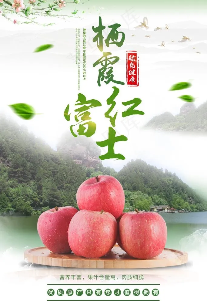 红富士苹果图片(3543x5315)psd模版下载